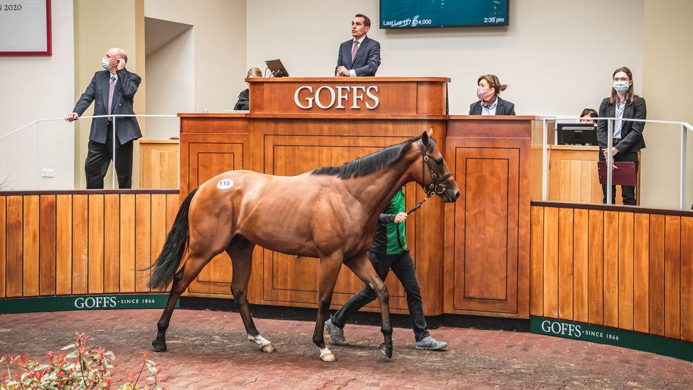 The Twilight Son colt takes his turn in the ring before selling for a joint-top £210,000