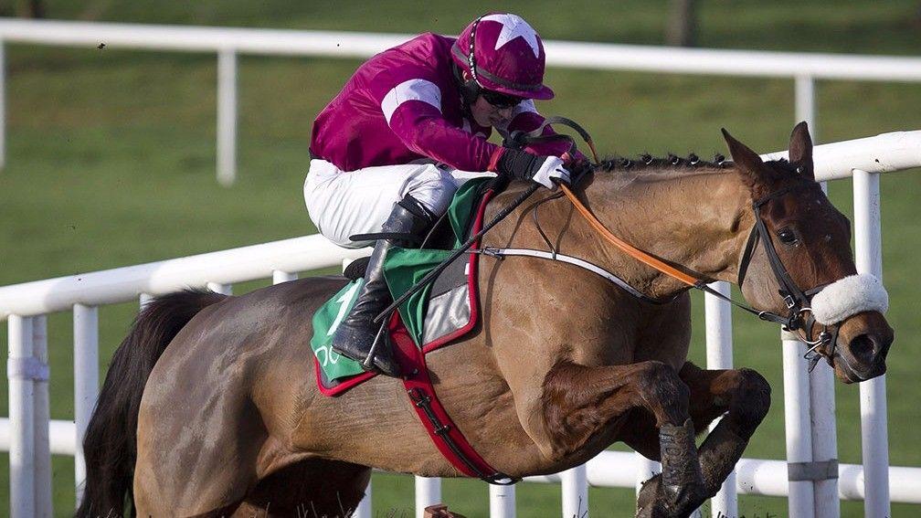 Death Duty: the Gigginstown-owned gelding embarks on a chasing career at Tipperary