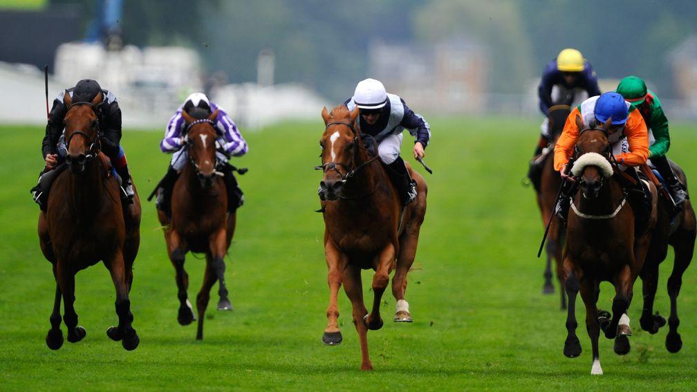 Duntle (white cap) sees off Ladys First (blue cap) to record her second Royal Ascot success in the 2013 Duke of Cambridge Stakes