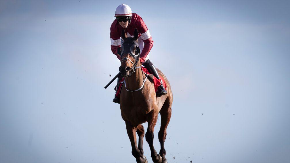 Gordon Elliott on Tiger Roll: 'He's come out of Cheltenham very well and the plan is to go for the Aintree National.'
