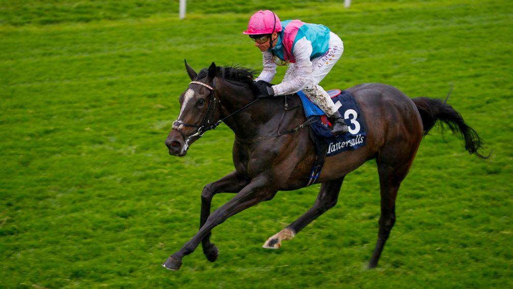 Shutter Speed: can bounce back from a disappointing run in France in the Nassau