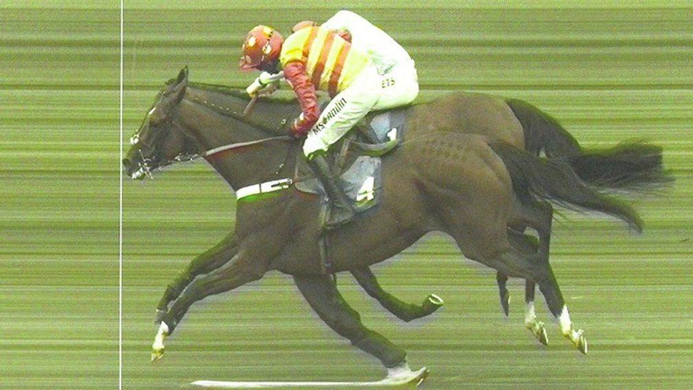 The official photo-finish print involving Royal Village (near side) and Whoshotwho at Market Rasen