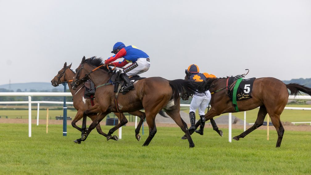 Da Capo Glory and Mike O'Connor about to pounce in the conditions hurdle at Punchestown as Jeff Kidder unseats at the last