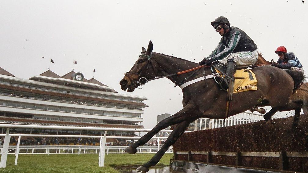 Altior: one of the big names slated to be in action at Newbury this weekend