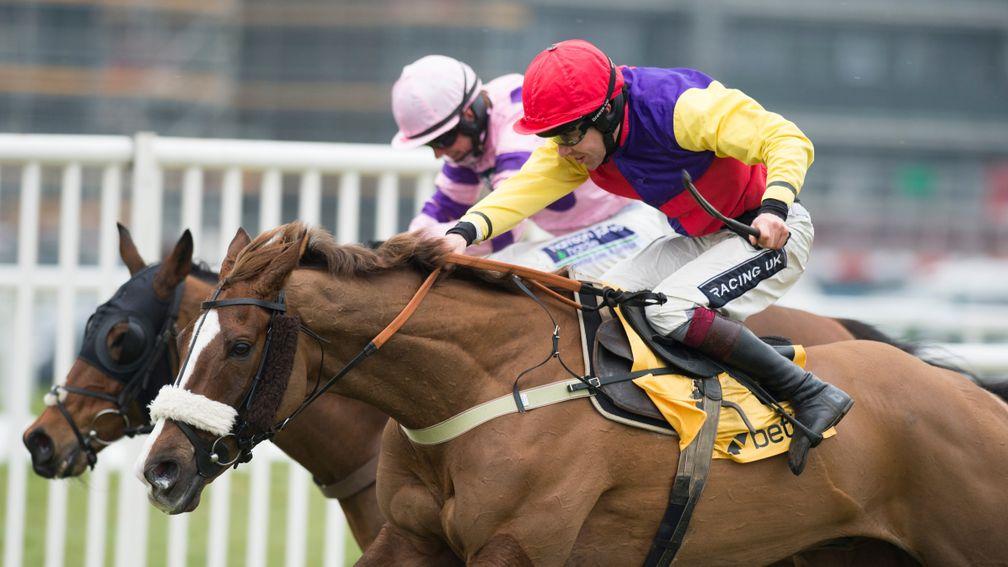 Native River (yellow, red and purple): aimed at the Cheltenham Gold Cup once again