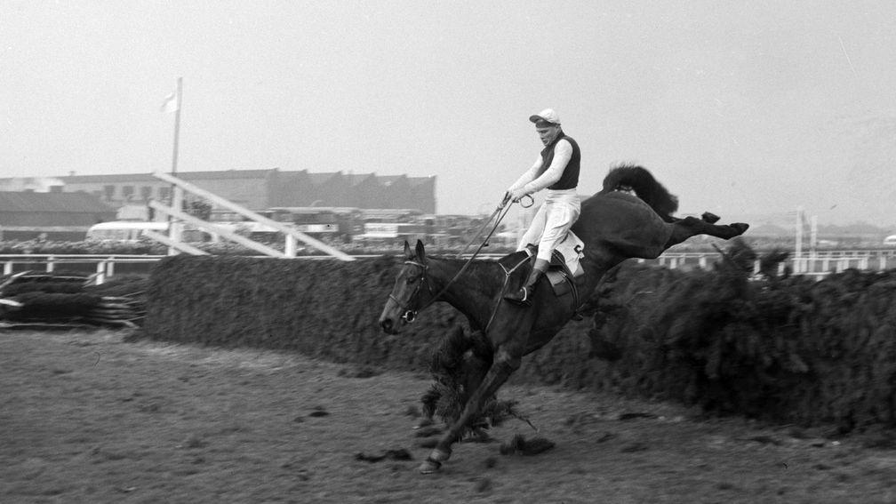 Where it all began: Michael Scudamore makes his name as the winner of the 1959 Grand National on Oxo