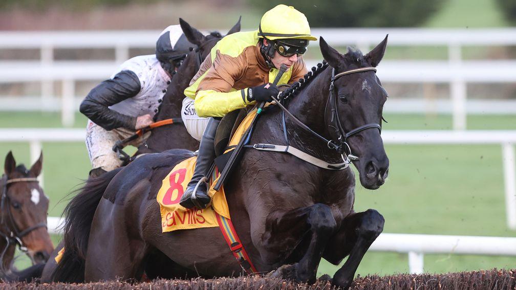 Galopin Des Champs: expected to return in the Irish Gold Cup at Leopardstown on Saturday