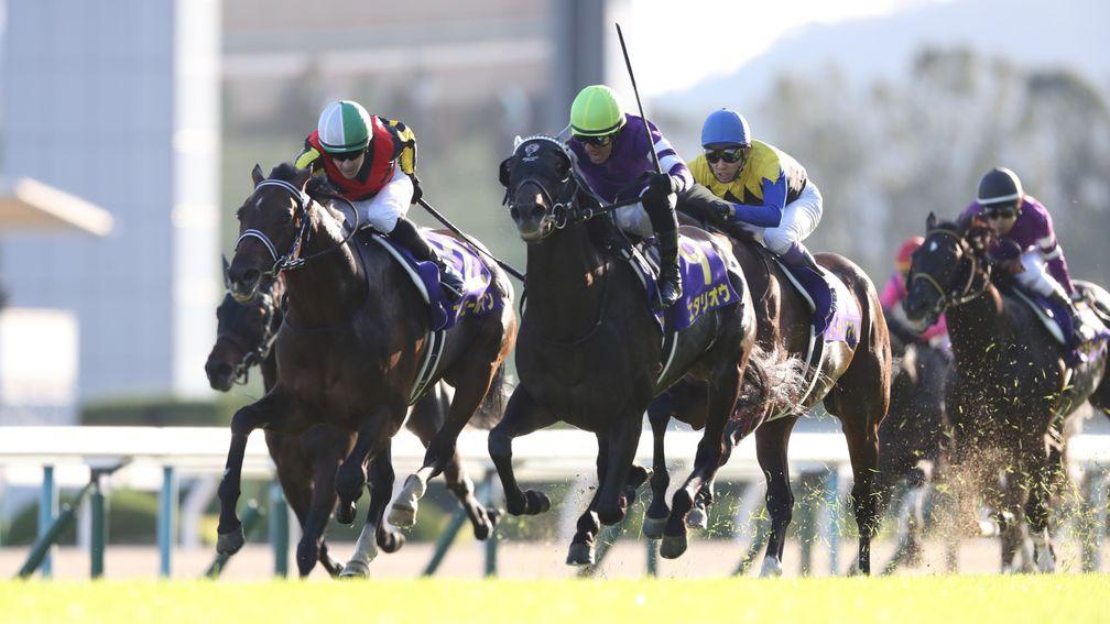 Fierement: captured his first graded victory in the Japanese St Leger