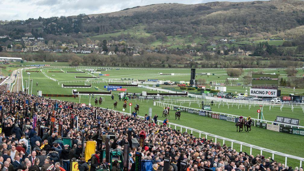 The Cheltenham Festival is a punting mass where people can spend more than £100 a day on bets