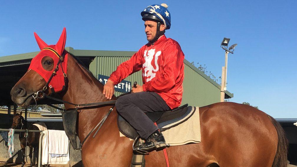 Luck Favours heads out for light work as prep for a possible Royal Ascot tilt