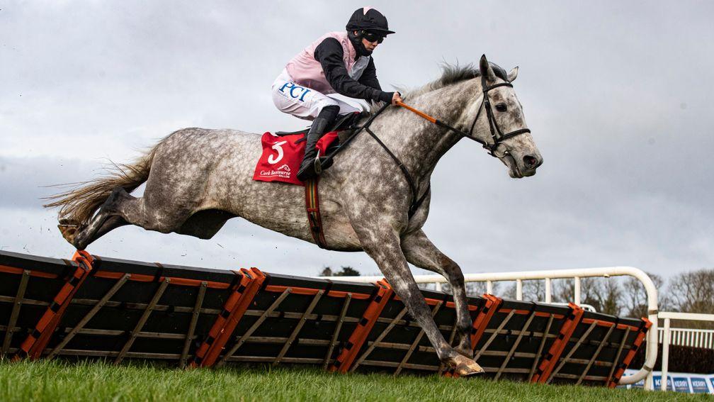 Gentlemansgame: quality hurdler makes his chasing debut at Leopardstown on Wednesday