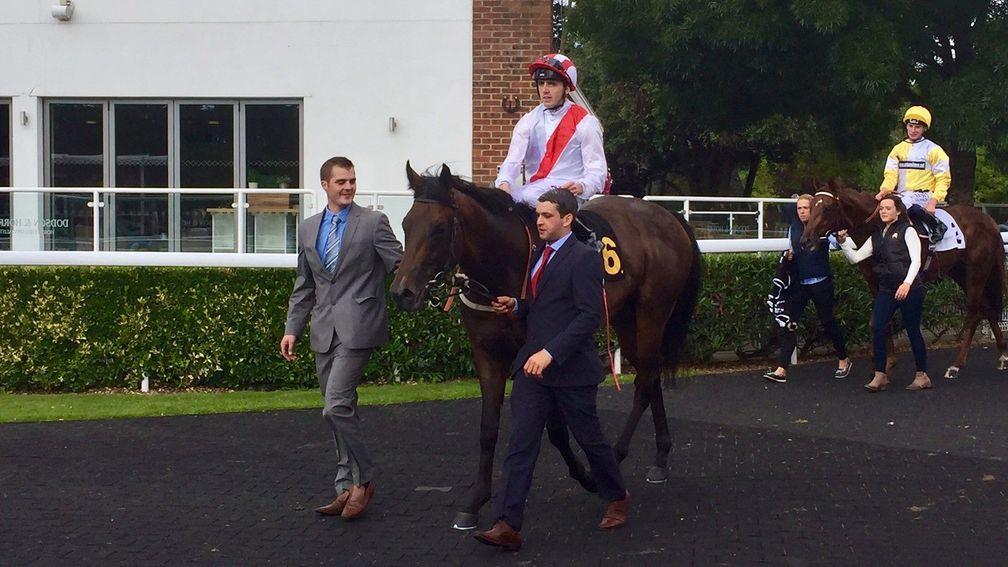 Invincible Army is led in after winning the Group 3 Sirenia Stakes