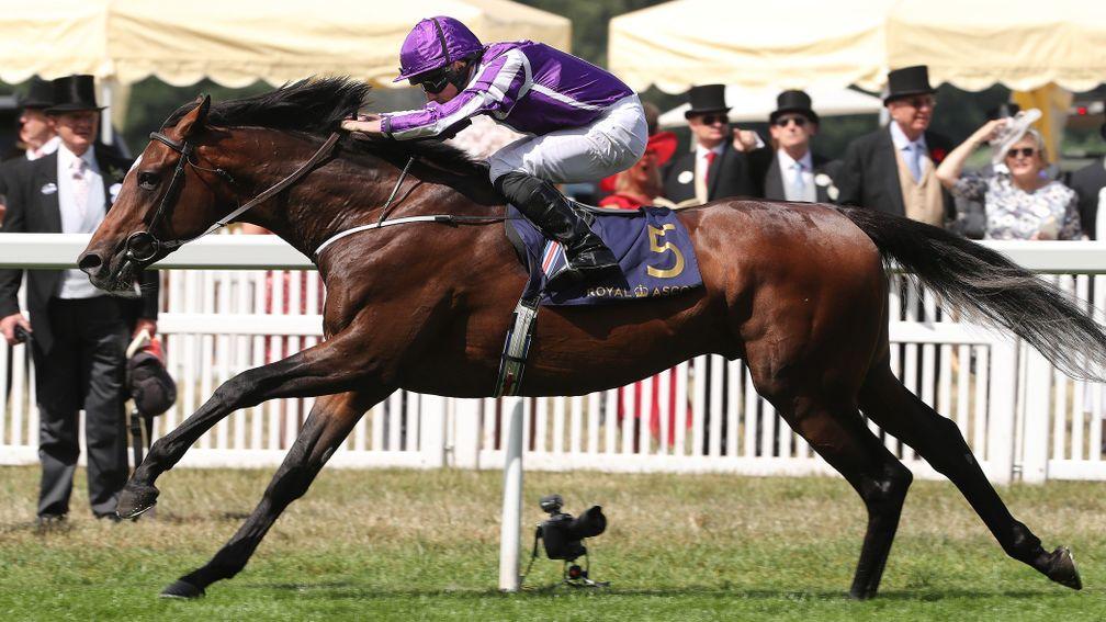 Kew Gardens and Ryan Moore winning the Queen's Vase at Royal Ascot
