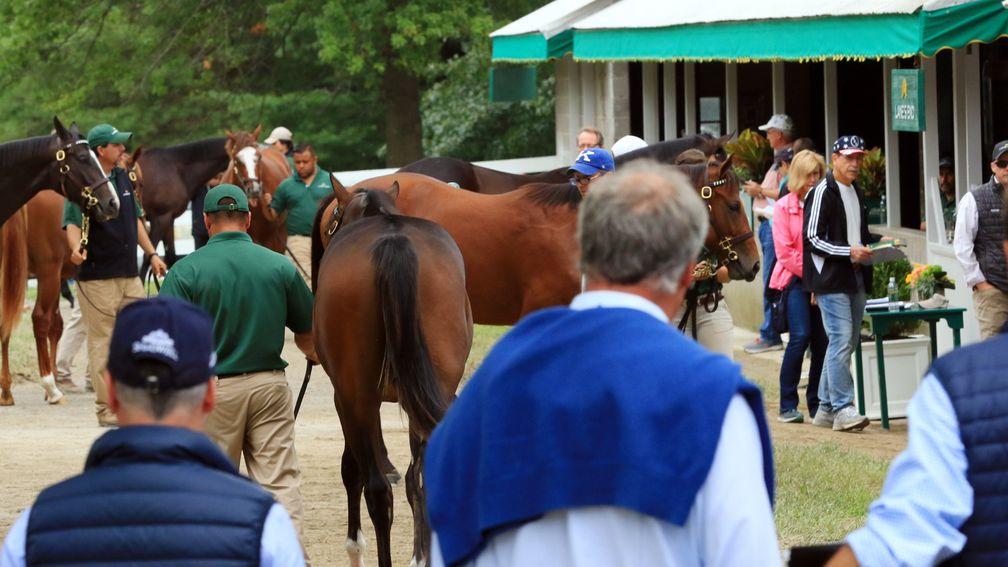 Competitive trade was reported across all levels of the market at Keeneland