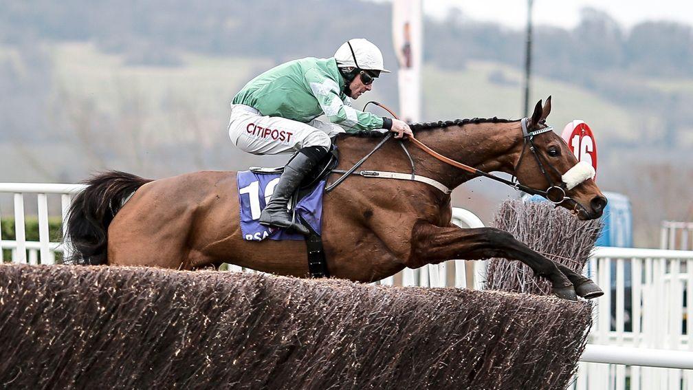 The Racing Post Guide to the Jumps offers an update to Gold Cup hope Presenting Percy