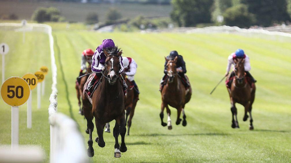Amhran Na Bhfiann: last year's Derby third convincingly slammed his rivals in the Curragh Cup