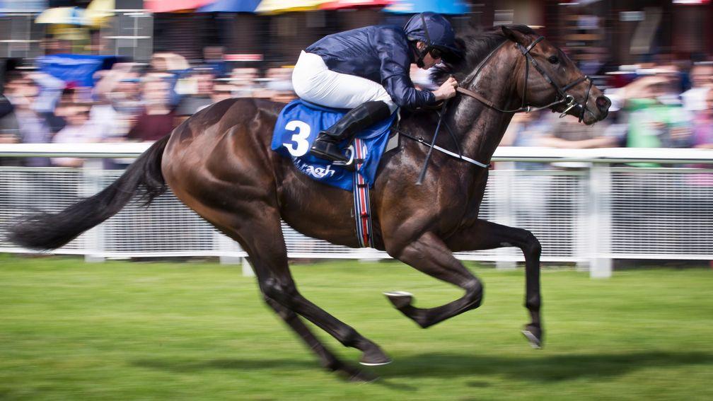 Peace Envoy: en route to winning the Anglesey Stakes at the Curragh in 2016