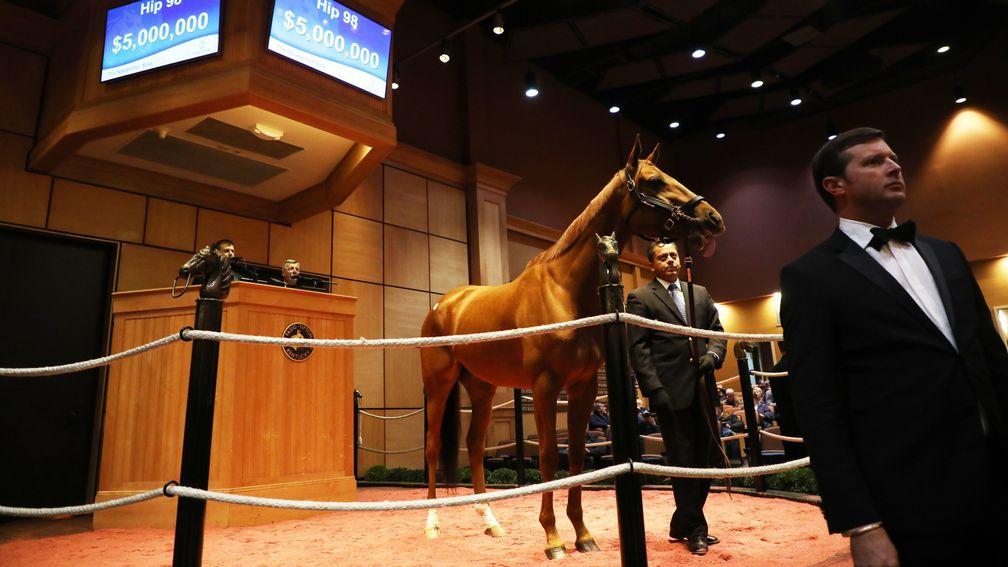 Sale-topper Blue Prize in the ring as the bid board reaches $5 million