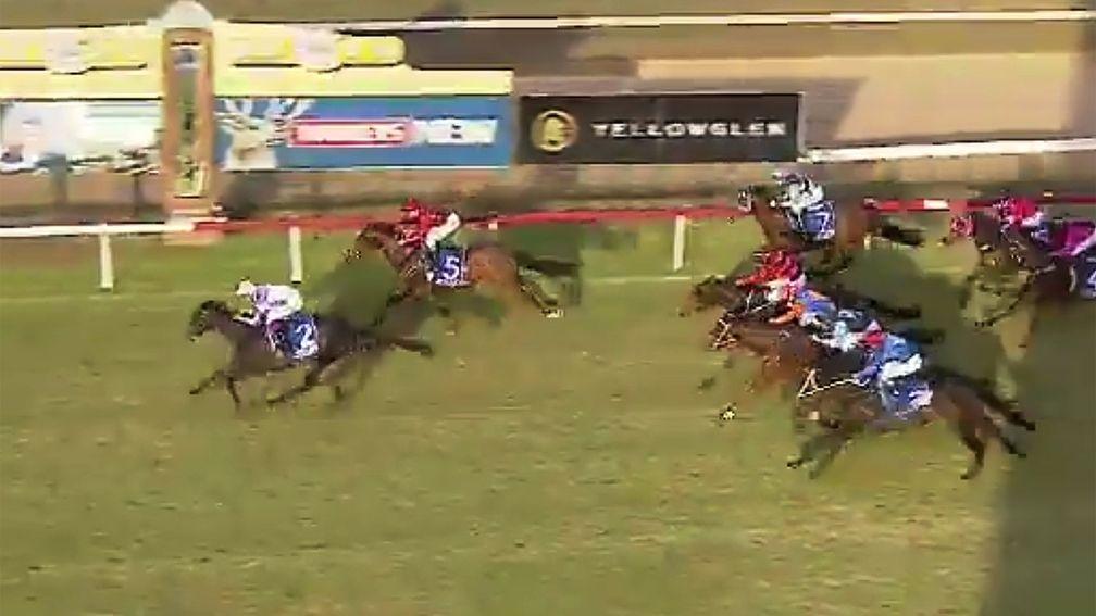 Internet sensation Horsey Mchorseface wins for the first time at Cessnock