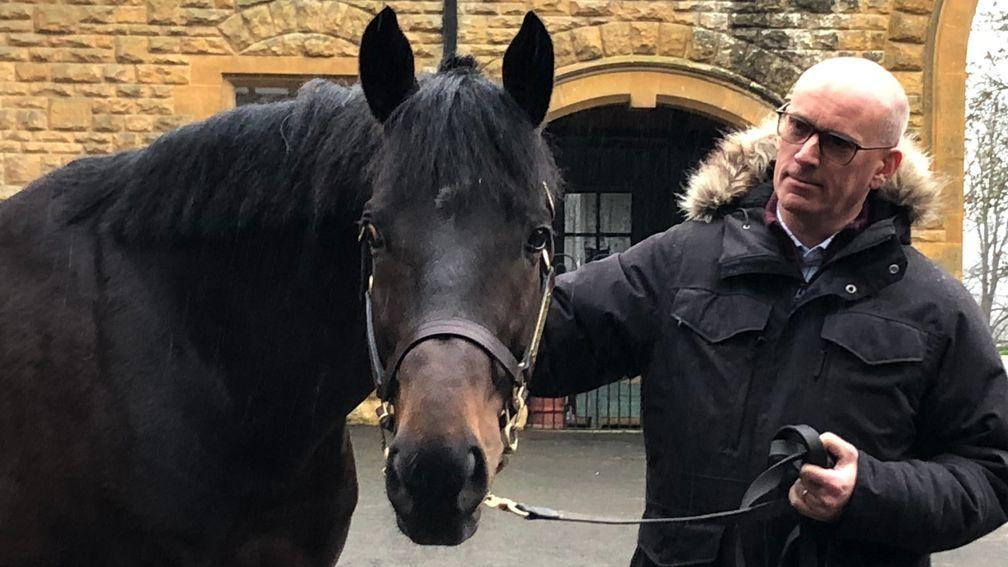 Peter Ebdon gets to know Harbour Law at Batsford Stud