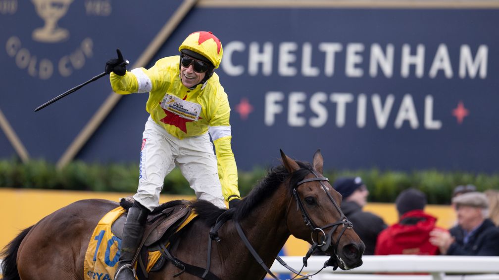 Protektorat: winner of the Ryanair Chase at Cheltenham