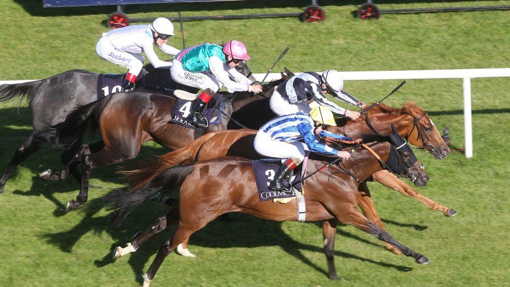 Duntle (white cap) edges out Chachamaidee (near side) in the Matron Stakes, only to be demoted after causing interference