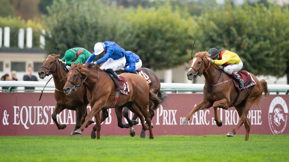 Torquator Tasso (yellow colours) gets going in the Arc