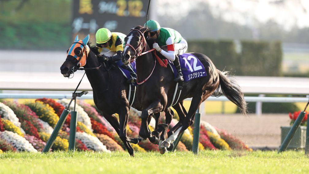 Lys Gracieux (green cap) wins the Queen Elizabeth II Cup at Kyoto racecourse for Joao Moreira and Yoshito Yagahi, 11.11.2018
