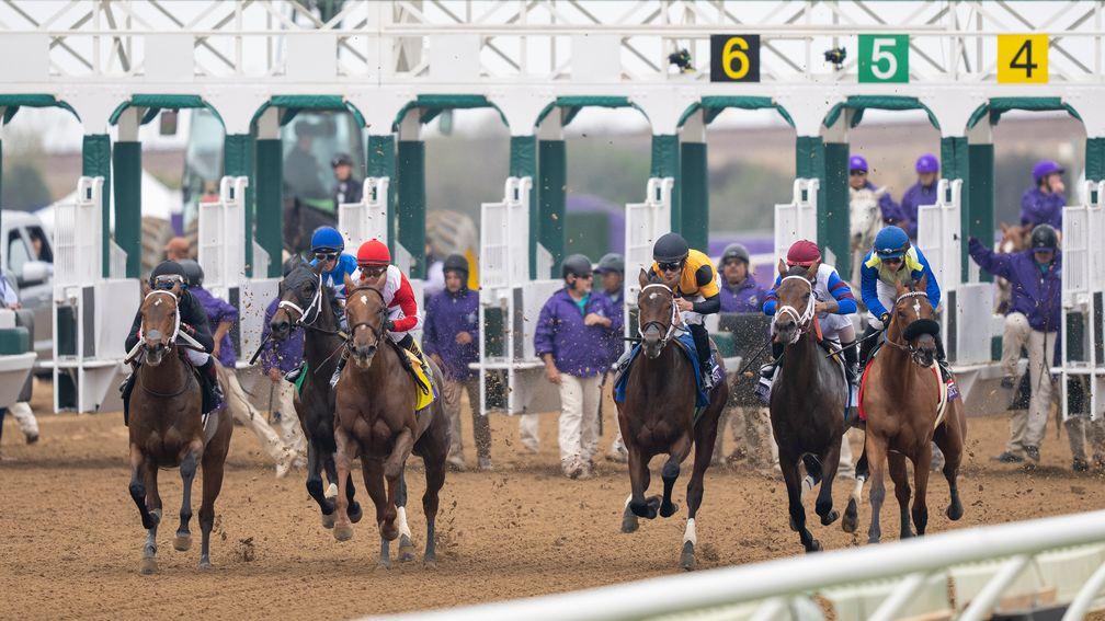 Stewards in New Mexico misidentified an incident at the start of a race at Sunland Park