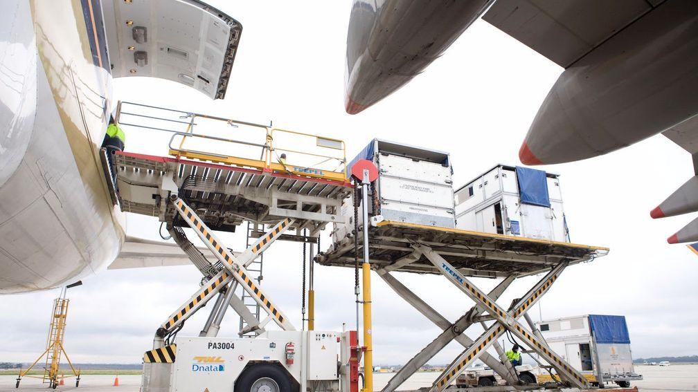 Equine passengers are loaded on to the plane in their crates