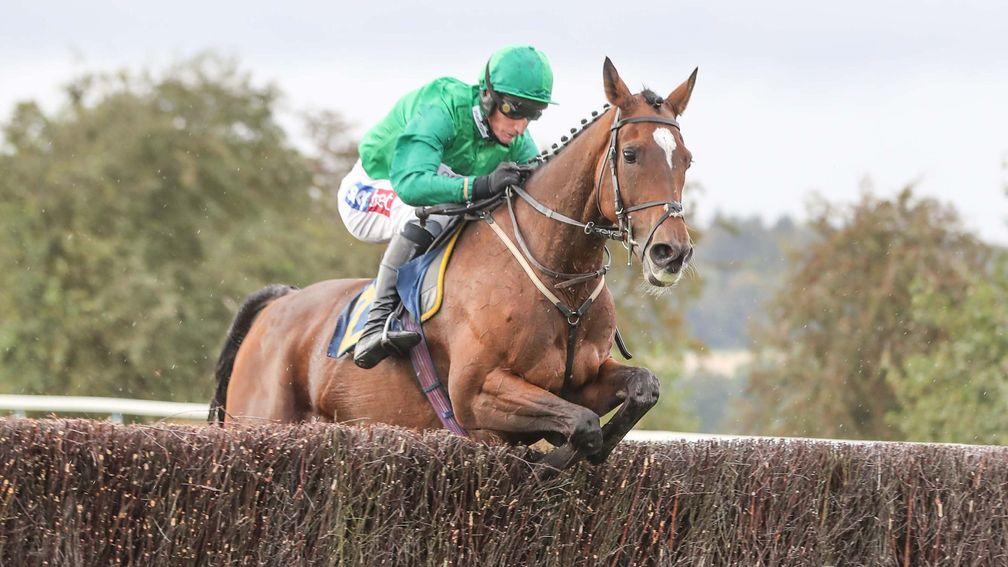 Wholestone (Daryl Jacob) won the Timothy Hardie Novices' Chase at Perth for Nigel Twiston-Davies in 2019