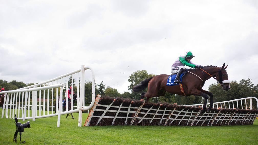 Hidden Cyclone: returns at Punchestown on Tuesday