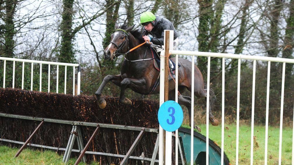 Brandy Love clears the last en route to victory at Cragmore