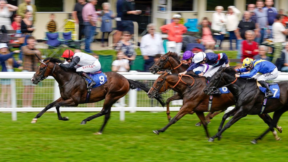 Megallan: enjoyed a Group 3 breakthrough at Salisbury on Thursday