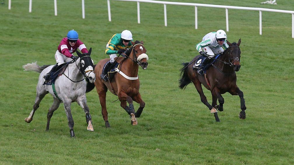 Our Duke (right): the Grade 1 winner is likely to make his return in the Irish Gold Cup next month