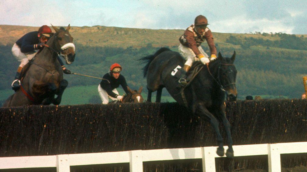 Davy Lad (right) and Dessie Hughes win the 1977 Cheltenham Gold Cup from Tied Cottage and Summerville