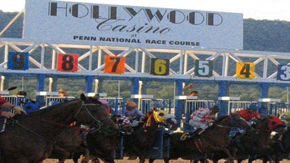 The runners burst from the stalls at Penn National