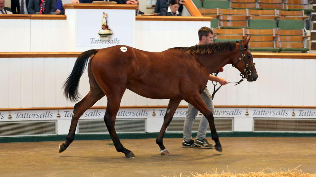 Lot 1,451: the Ulysses colt pinhooked for 4,000gns sells for 150,00gns on Thursday