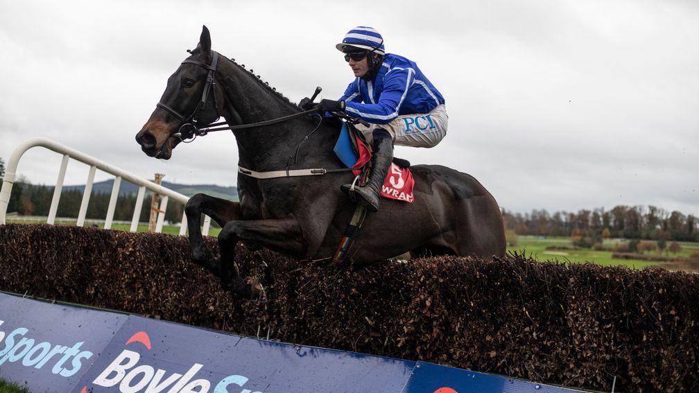 Energumene: Willie Mullins has placed plenty of confidence in the unbeaten chaser