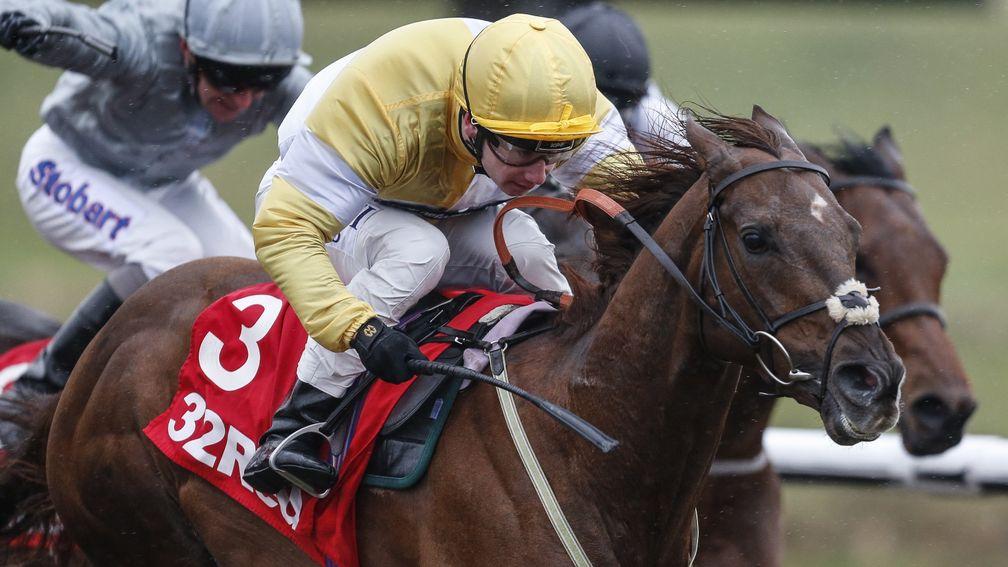 Canada-bound: Corinthia Knight winning his all-weather championship race at Lingfield in April