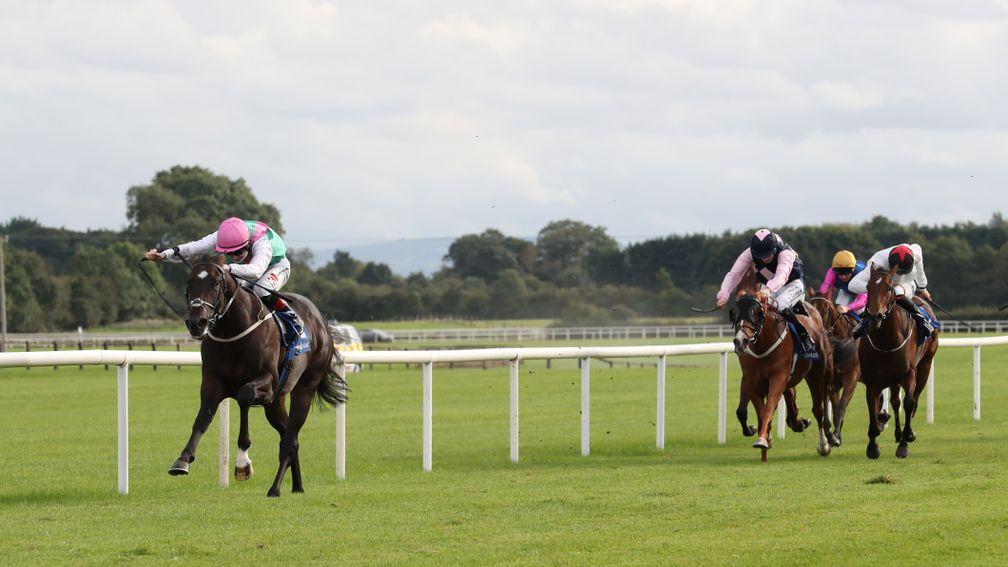 Straight Answer draws five and a half lengths clear of his Listed rivals at Fairyhouse