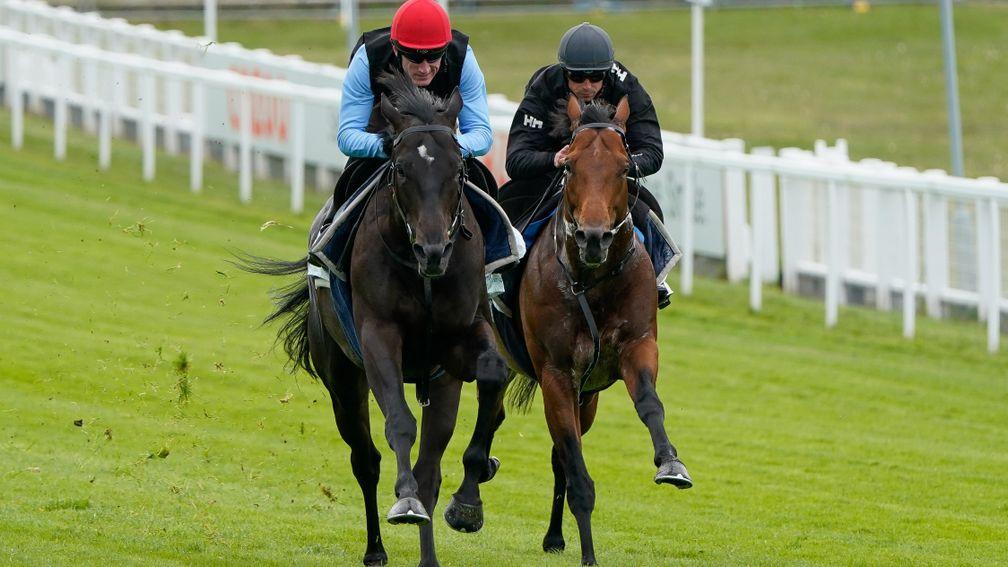 EPSOM, ENGLAND - MAY 23: David Egan riding Eydon in a racecourse gallop at Epsom Racecourse on May 23, 2022 in Epsom, England. (Photo by Alan Crowhurst/Getty Images)