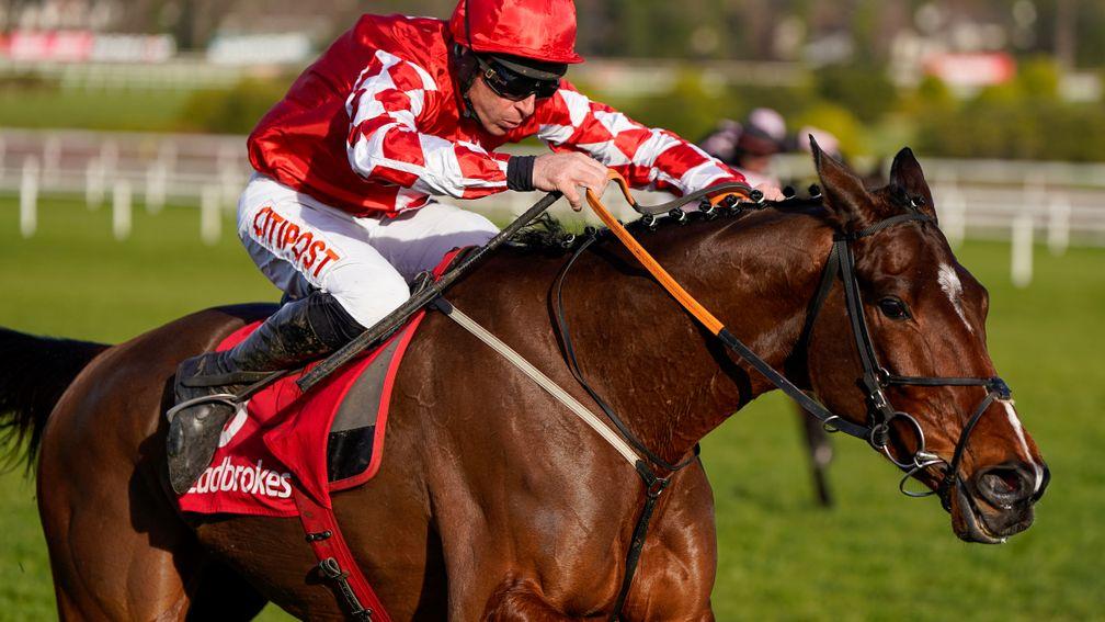Mighty Potter and Davy Russell on their way to victory in the Grade 1 Ladbrokes Novice Chase at Leopardstown