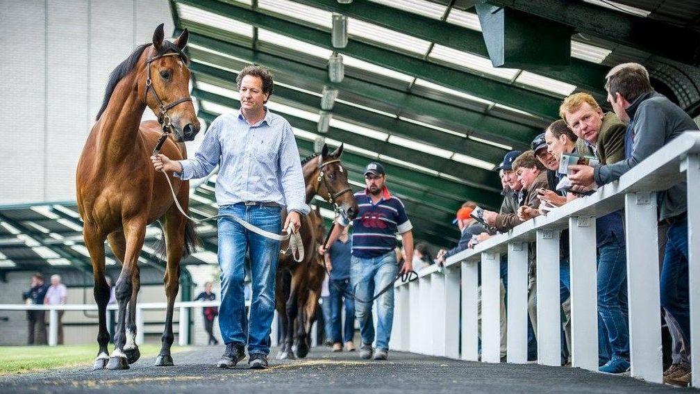 The Goffs Land Rover Sale begins a two-day run at 10am