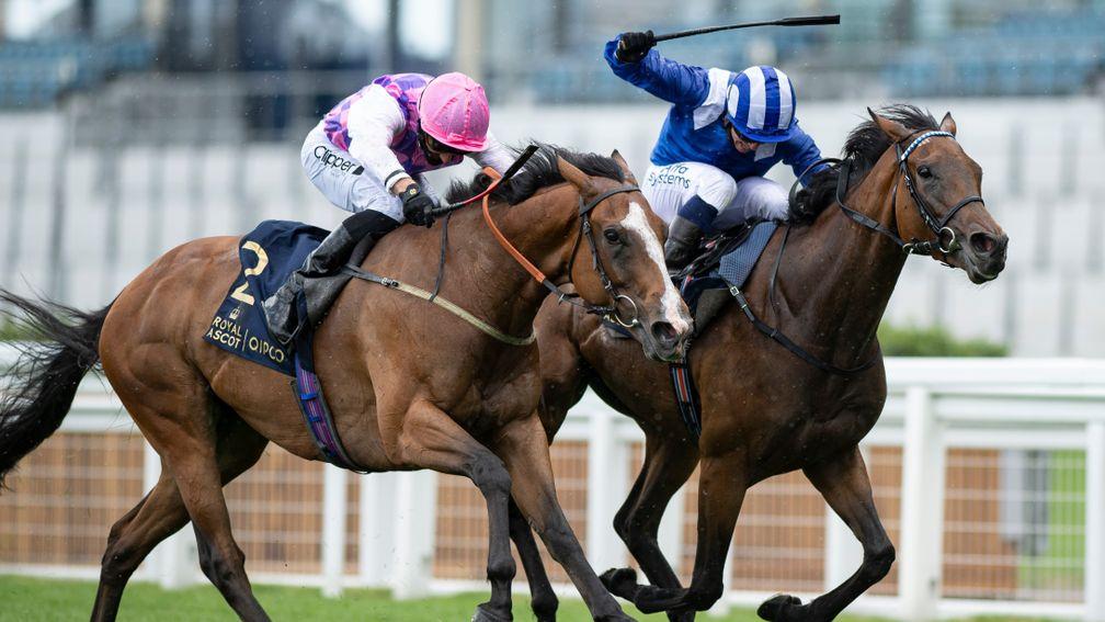 Agincourt (pink cap): pipped by Nazeef in the Duke Of Cambridge Stakes