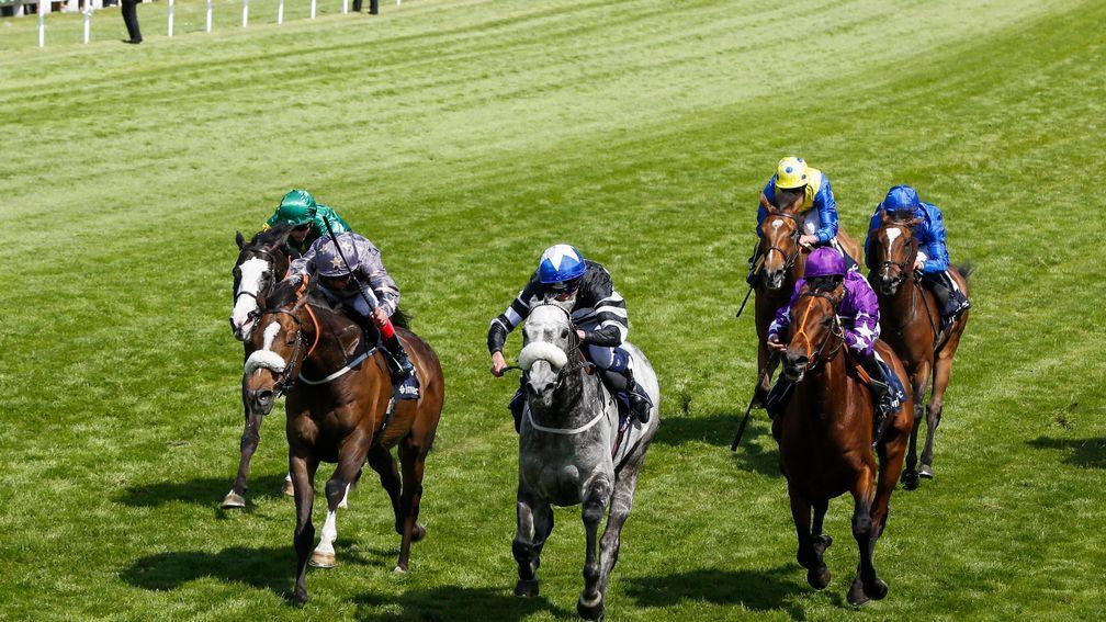 Gabrial (left) often ran fine races in defeat in Group company