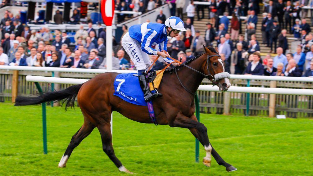 Beat The Bank: a clear-cut winner at Newmarket