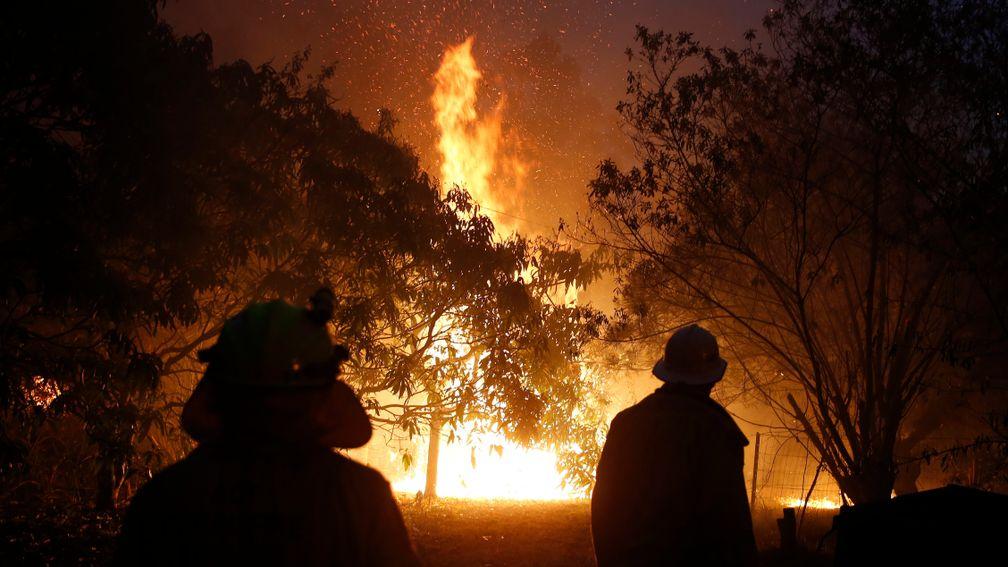 A fire rages near the Pacific Highway in New South Wales