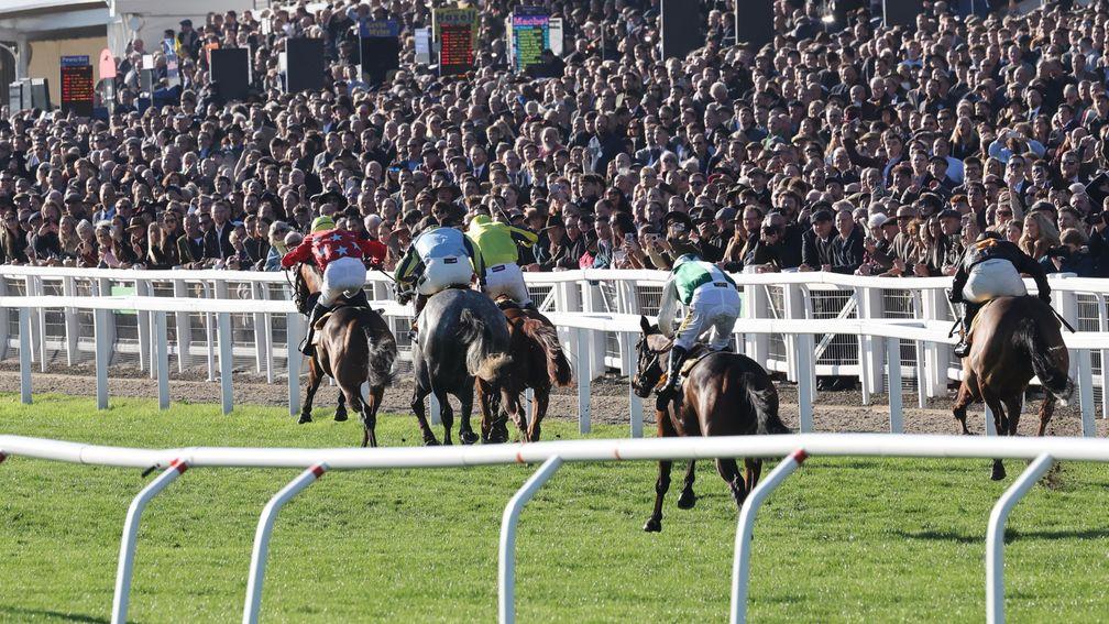 Cheltenham: track due to race on Friday and Saturday