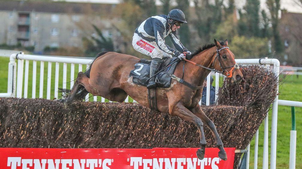 Red Indian: is now favourite to win the Peter Marsh Chase at Haydock